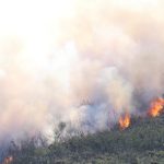 Sul Informação - Incêndio no concelho de Portimão continua ativo com duas frentes (com fotos)