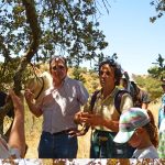 Sul Informação - Catedral de Beja e Ribeiras de Cobres e Terges foram palco do fecho do Festival Terras sem Sombra