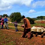 Sul Informação - FOTOGALERIA: 800 pessoas viajaram até à Pré-História em Alcalar