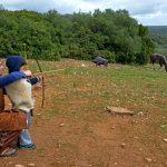 Sul Informação - FOTOGALERIA: 800 pessoas viajaram até à Pré-História em Alcalar