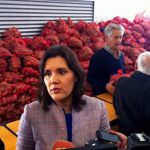 Sul Informação - Jovens agricultores devem apostar na batata-doce de Aljezur, diz a ministra (com fotos)