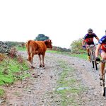 Sul Informação - Percurso seletivo e chuva marcam Campeonato do Algarve XCM em Monchique (com fotos)