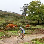 Sul Informação - Percurso seletivo e chuva marcam Campeonato do Algarve XCM em Monchique (com fotos)