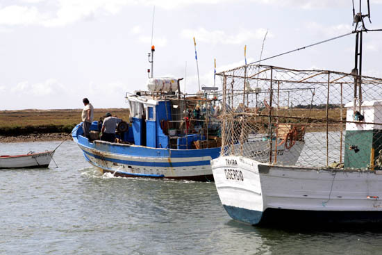 Barcos em santa_luzia