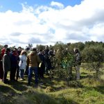 Sul Informação - Terras sem Sombra, o festival que alia Património, Música e Natureza, começou em Almodôvar