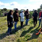 Sul Informação - Terras sem Sombra, o festival que alia Património, Música e Natureza, começou em Almodôvar