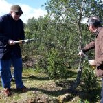 Sul Informação - Terras sem Sombra, o festival que alia Património, Música e Natureza, começou em Almodôvar