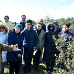 Sul Informação - Terras sem Sombra, o festival que alia Património, Música e Natureza, começou em Almodôvar