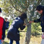 Sul Informação - Terras sem Sombra, o festival que alia Património, Música e Natureza, começou em Almodôvar