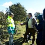 Sul Informação - Terras sem Sombra, o festival que alia Património, Música e Natureza, começou em Almodôvar