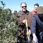 Sul Informação - Terras sem Sombra, o festival que alia Património, Música e Natureza, começou em Almodôvar