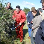 Sul Informação - Terras sem Sombra, o festival que alia Património, Música e Natureza, começou em Almodôvar