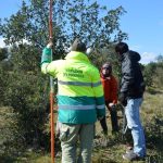 Sul Informação - Terras sem Sombra, o festival que alia Património, Música e Natureza, começou em Almodôvar