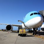 Sul Informação - Aterragem inédita de Boeing 787 Dreamliner foi «um acontecimento» no Aeroporto de Faro