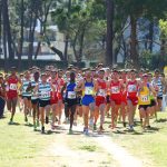 Sul Informação - Cross das Amendoeiras cheio de peripécias e surpresas (com fotos)