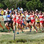 Sul Informação - Cross das Amendoeiras cheio de peripécias e surpresas (com fotos)