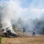 Sul Informação - Mais de 1600 pessoas foram viver um Dia na Pré-História de Alcalar (com fotos)