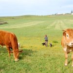 Sul Informação - FOTOGALERIA: 8ª Travessia da Via Algarviana terminou junto ao Cabo de São Vicente