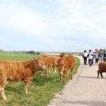 Sul Informação - FOTOGALERIA: 8ª Travessia da Via Algarviana terminou junto ao Cabo de São Vicente