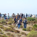 Sul Informação - Festival de Observação de Aves de Sagres recebeu mais de 950 pessoas de 17 nacionalidades