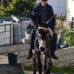 Sul Informação - Nas Furnazinhas, a entretecer as canas ao sabor dos caminhantes da Via Algarviana