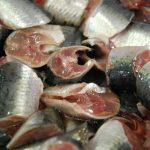 Sul Informação - FOTOGALERIA: Sardinha foi a “estrela” da cataplana no Mercado de Portimão