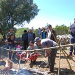 Sul Informação - Mais de 1600 pessoas foram viver um Dia na Pré-História de Alcalar (com fotos)