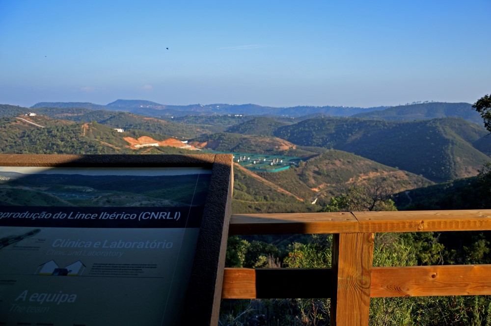 O miradouro na serra de onde se observa o Centro de Reprodução do Lince-Ibérico