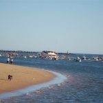 Sul Informação - O dia em que Nossa Senhora passeia no rio em Ferragudo (com fotos)