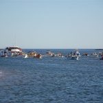 Sul Informação - O dia em que Nossa Senhora passeia no rio em Ferragudo (com fotos)