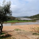 Sul Informação - Fotogaleria: Lagoa e os seus segredos visitados em mais uma Fam Trip