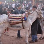 Sul Informação - FOTOGALERIA: Dias Medievais encheram ruas e Castelo de Castro Marim