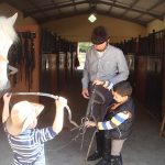 Sul Informação - Centro equestre em Pêra prepara novos estágios para jovens cavaleiros no Verão