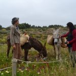 Sul Informação - Fotogaleria: Jornalistas e agentes turísticos descobriram segredos de Aljezur