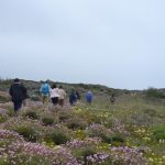 Sul Informação - Fotogaleria: Jornalistas e agentes turísticos descobriram segredos de Aljezur