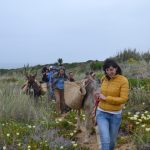 Sul Informação - Fotogaleria: Jornalistas e agentes turísticos descobriram segredos de Aljezur