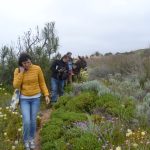 Sul Informação - Fotogaleria: Jornalistas e agentes turísticos descobriram segredos de Aljezur