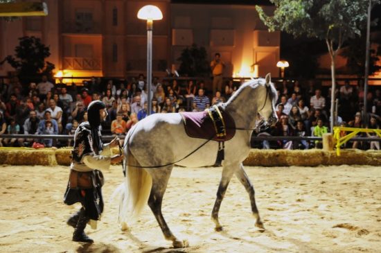 Feira Medieval de Silves - MMazurek (49)