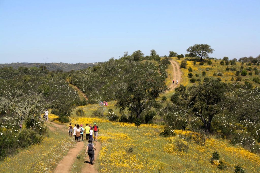 Festival Caminhadas Ameixial 2016_29