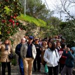 Sul Informação - Um passeio à descoberta das camélias nos jardins encantados de Monchique