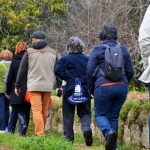 Sul Informação - Um passeio à descoberta das camélias nos jardins encantados de Monchique