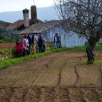 Sul Informação - Um passeio à descoberta das camélias nos jardins encantados de Monchique