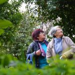 Sul Informação - Um passeio à descoberta das camélias nos jardins encantados de Monchique