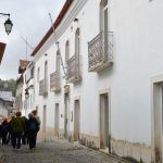 Sul Informação - Um passeio à descoberta das camélias nos jardins encantados de Monchique