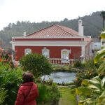 Sul Informação - Um passeio à descoberta das camélias nos jardins encantados de Monchique