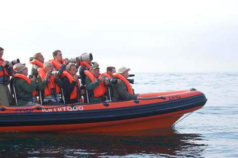 festival de birdwatching de sagres