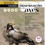 Sul Informação - Abutre-do-Egito é a “ave estrela” do Festival de Observação de Aves de Sagres