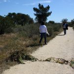 Sul Informação - Fórum Água Jovem ganha novos adeptos para conservação da Ria Formosa