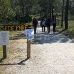 Sul Informação - Fórum Água Jovem ganha novos adeptos para conservação da Ria Formosa