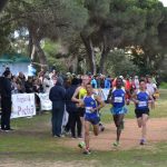 Sul Informação - Ana Cabecinha e Jorge Varela vencem Campeonato Regional de Corta-mato